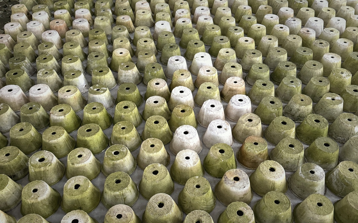 TAO-POTS moss-finish pots arranged during production