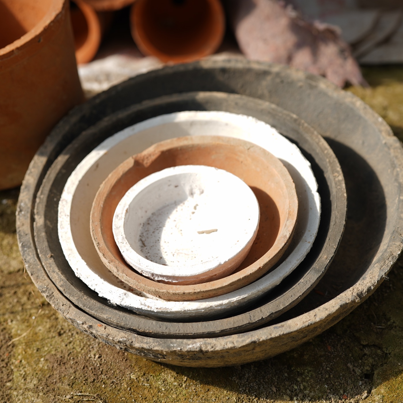 Matching saucers in TAO-POTS terracotta finishes