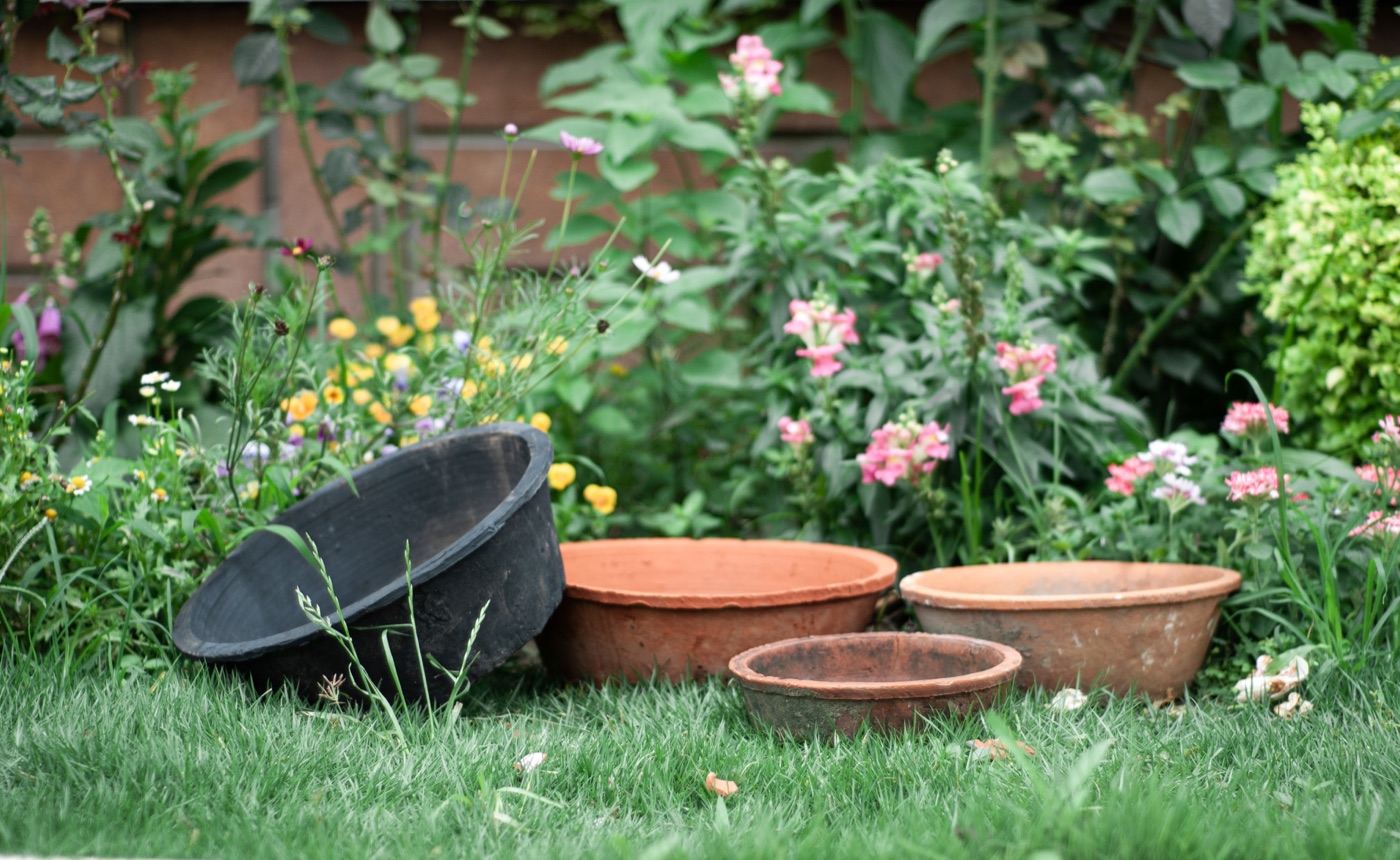 Bowl planters in TAO-POTS terracotta finishes