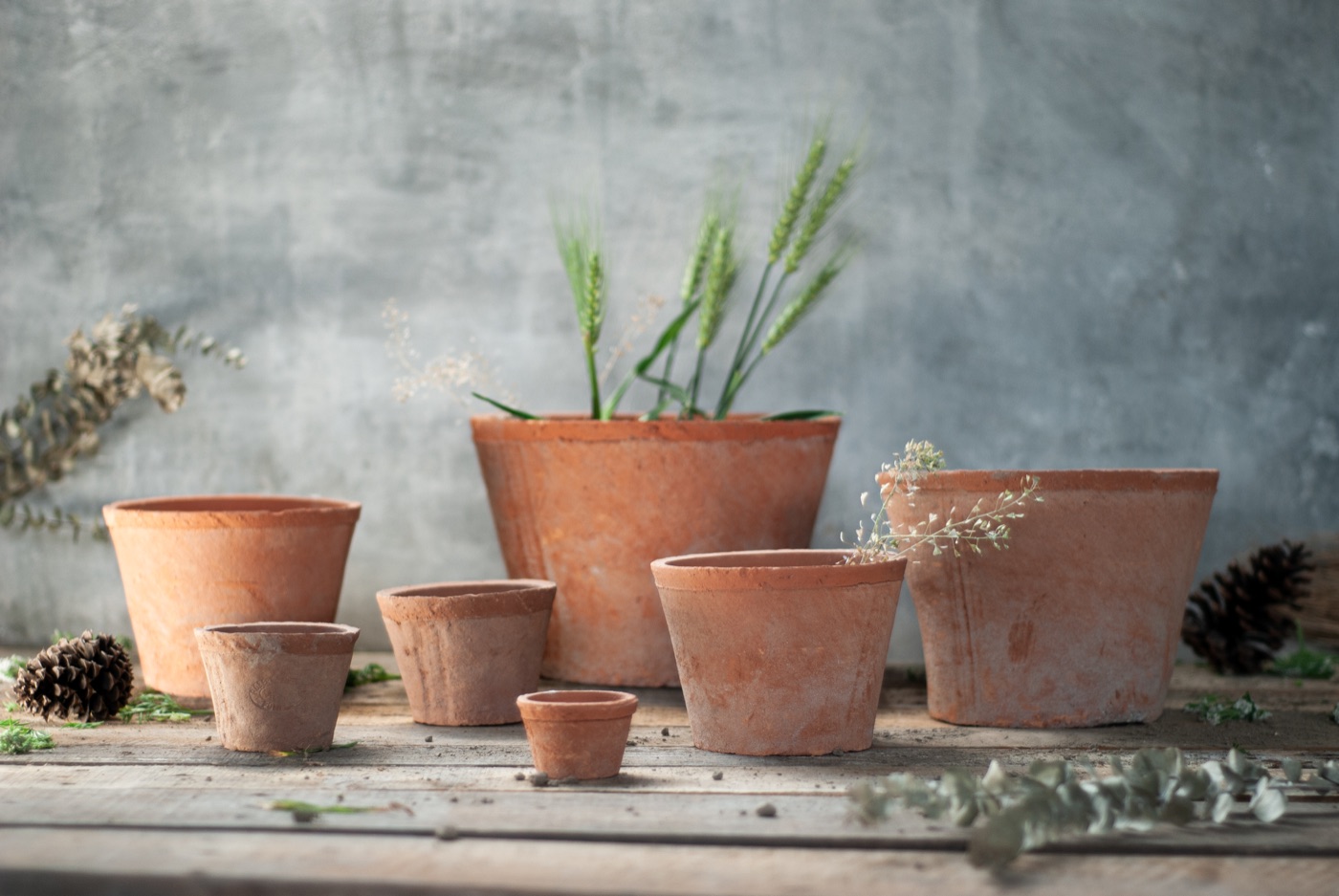 TAO-POTS terracotta planter range photographed in the studio