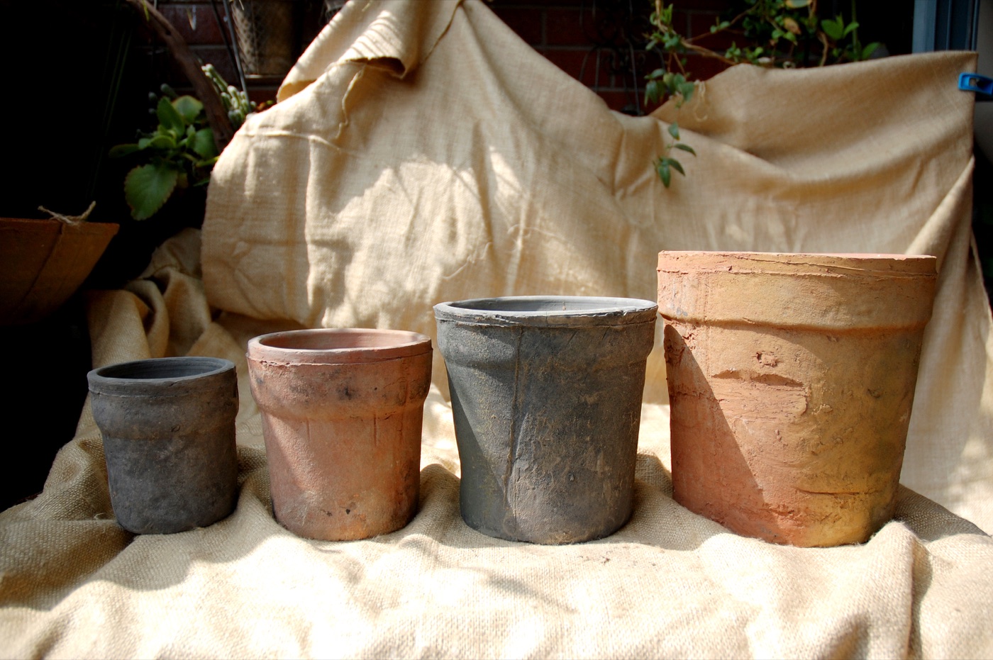 Wide-rim pots in TAO-POTS terracotta finishes